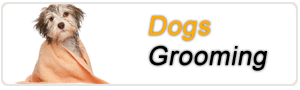Dogs Grooming Parlour