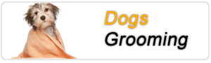 Dog Grooming