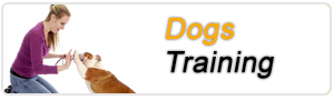 Dog Training