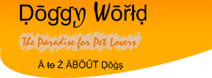 Doggy World Service