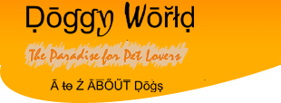 Best Dog Food in Shiv Vihar