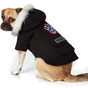 pet accessories